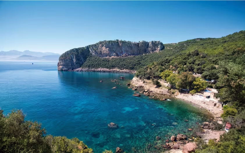 algeria forest and ocean
